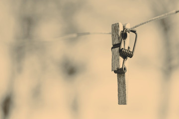 Broken clothespin on the wire