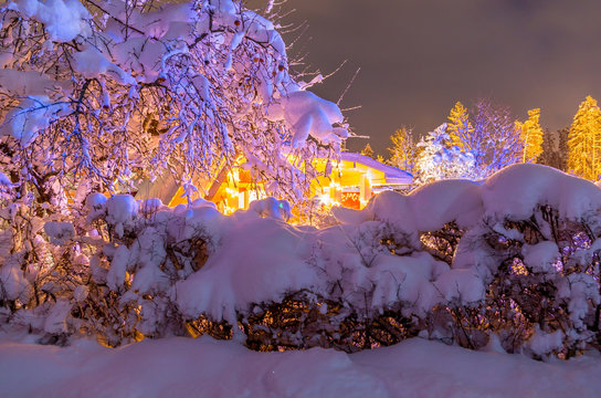 yard in winter with snow lighted by christmas lights with hedge