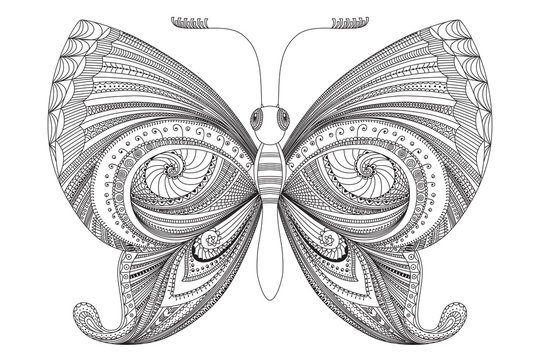 Hand drawn zentangle butterfly. Decorative abstract doodle design element. Vector illustration