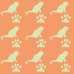 cat trail