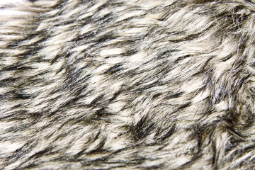 Black and white fur background