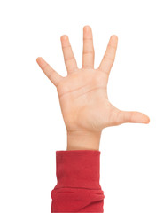 hand