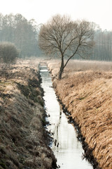 Streaming on the field at the tre
