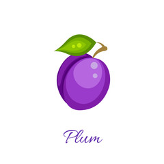 Purple plum isolated vector icon. Plum fruit on branch with leaf. Purple plum logo. Plum juice or jam branding logotype.