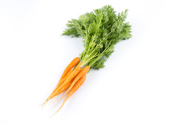 fresh carrots isolated on white background