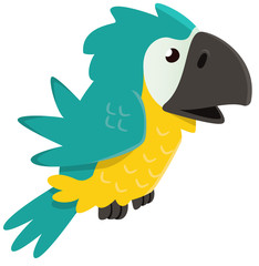 Naklejka premium Perroquet