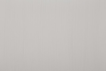 Brushed white texture