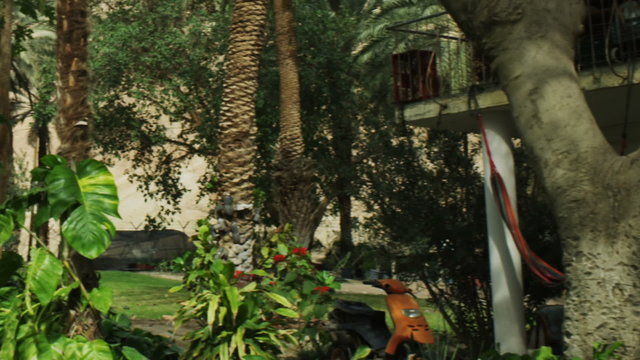 Royalty Free Stock Video Footage of Ein Gedi kibbutz shot in Israel at 4k with Red.