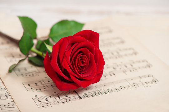 Red rose flower music notes sheet