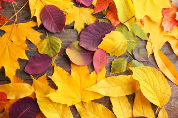 Autumn leaves on the wooden background