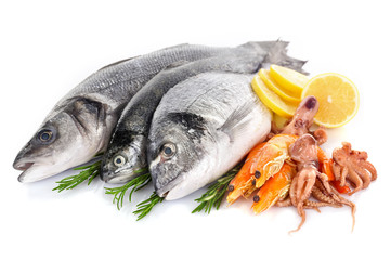 Fresh Mediterranean cocktail of fish on white background, close up