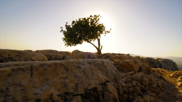 Slow-moving tracking of ruins and tree atop Mt. Arbel