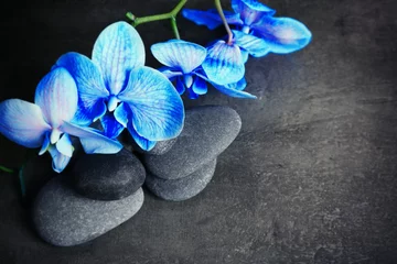 Keuken achterwand Spa Beautiful spa composition with blue orchid and stones  © Africa Studio