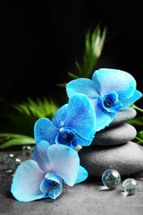 Beautiful spa composition with blue orchid and stones