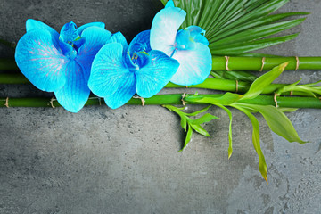 Beautiful spa composition with blue orchid, bamboo and stones
