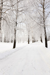 Fototapeta na wymiar Snow covered road 