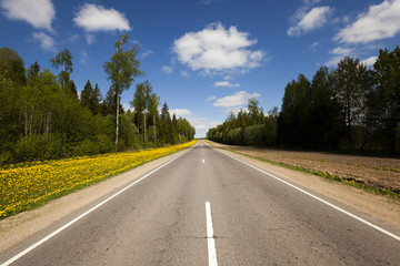 Fototapeta premium asphalt road , spring