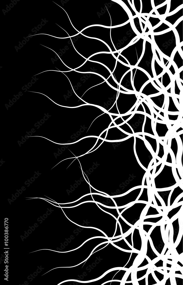 Leinwandbilder weird lines from edge. abstract monochrome vector pattern.