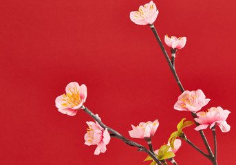 Fototapeta na wymiar Chinese new year's decoration for Spring festival