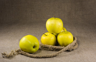 yellow apples entwined with a rope on a table covered with burlap