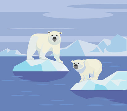 Polar bears. Vector flat illustration