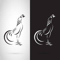 Vector image of an rooster design on white background and black