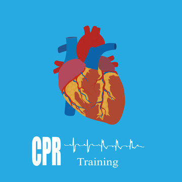 CPR Training, Vector Illustration