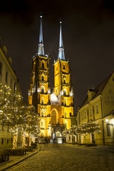 Fototapeta na wymiar Night photo of illuminated St. John the Baptist Cathedral in Wroclaw, Poland