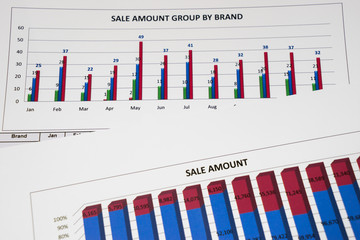 Fototapeta premium Financial graph report for business