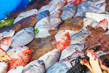 Catch of the day on a traditional Moroccan market (souk) in Essaouira, Morocco
