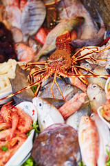 Catch of the day on a traditional Moroccan market (souk) in Essaouira, Morocco