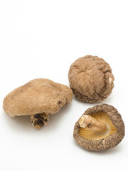 乾燥シイタケ　白背景