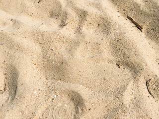 dirty sand of a beach background