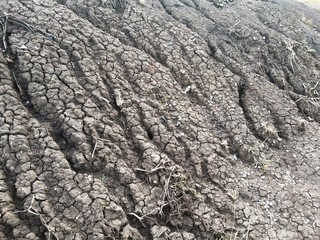dry cracked soil 