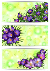 Banners with crocus flowers