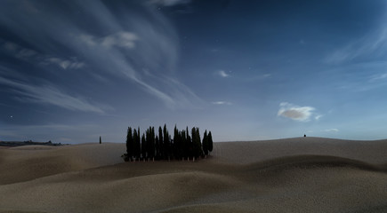 Obraz premium Cyprysy w Toskanii nocą