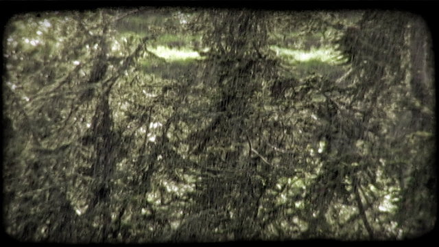 Timelapse Rain. Vintage stylized video clip.