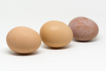 Organics chicken eggs on white backgound 