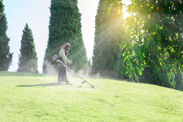 Worker mowing lawn in garden.