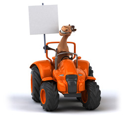 Fototapeta premium Fun horse