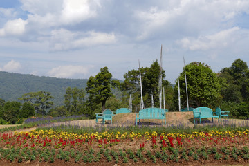 green bench and blooming flower at the flowerbed