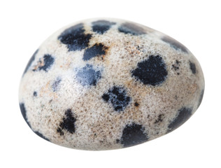 dalmatian jasper (Dalmatian stone) gemstone