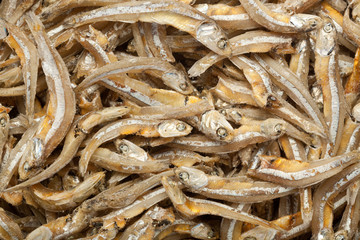 Anchovies