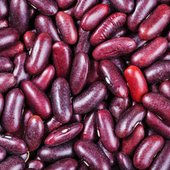 raw red kidney beans close up