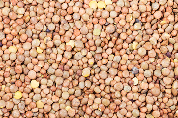 many raw brown lentil seeds