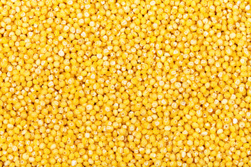 many raw yellow millet groats