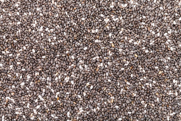 many dry seeds of Chia (salvia hispanica) plant