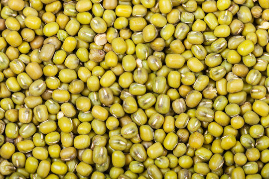raw green mung beans