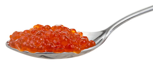 salted Red caviar of Sockeye salmon fish on spoon