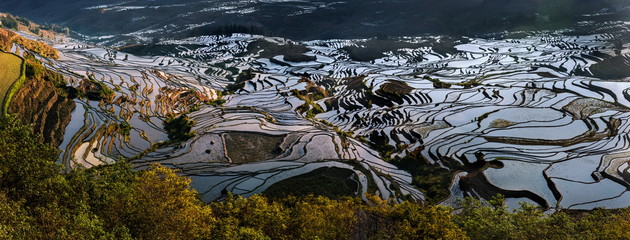 Yuan Yang terraces
